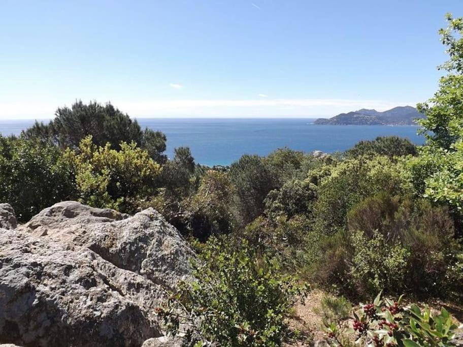 Studio Croix Des Gardes Palais Plages Κάννες Εξωτερικό φωτογραφία