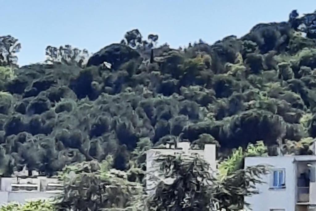 Studio Croix Des Gardes Palais Plages Κάννες Εξωτερικό φωτογραφία