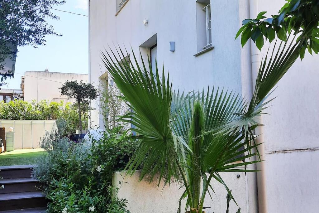 Studio Croix Des Gardes Palais Plages Κάννες Εξωτερικό φωτογραφία